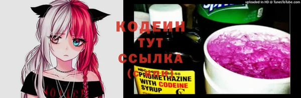 ECSTASY Белокуриха
