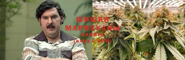 ECSTASY Белокуриха