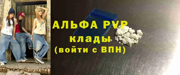 ECSTASY Белокуриха