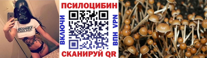 Галлюциногенные грибы прущие грибы  Давлеканово 